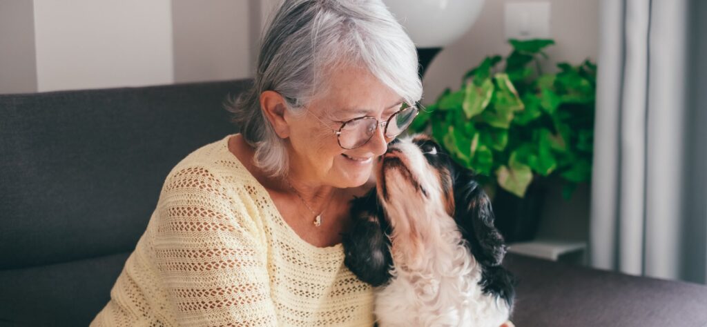 Senior woman cuddles with cavalier king Charles dog on the sofa